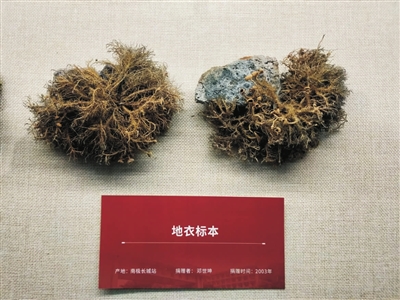 国产成人精品白浆久久69