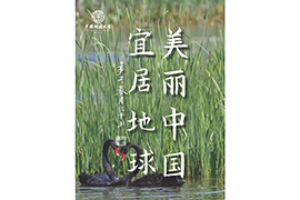 国产成人精品白浆久久69